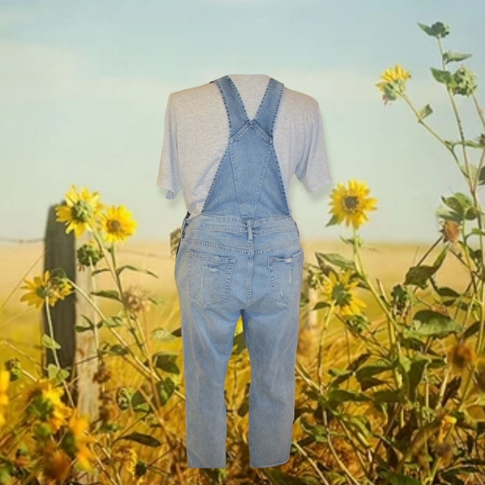 Distressed Overalls - Picture 2 of 6